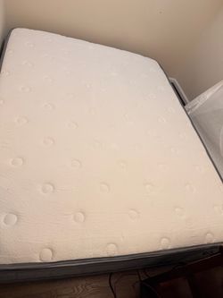 Brand new 14” queen hybrid mattress.