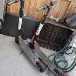 Bird ES1 Electric Scooters (2)