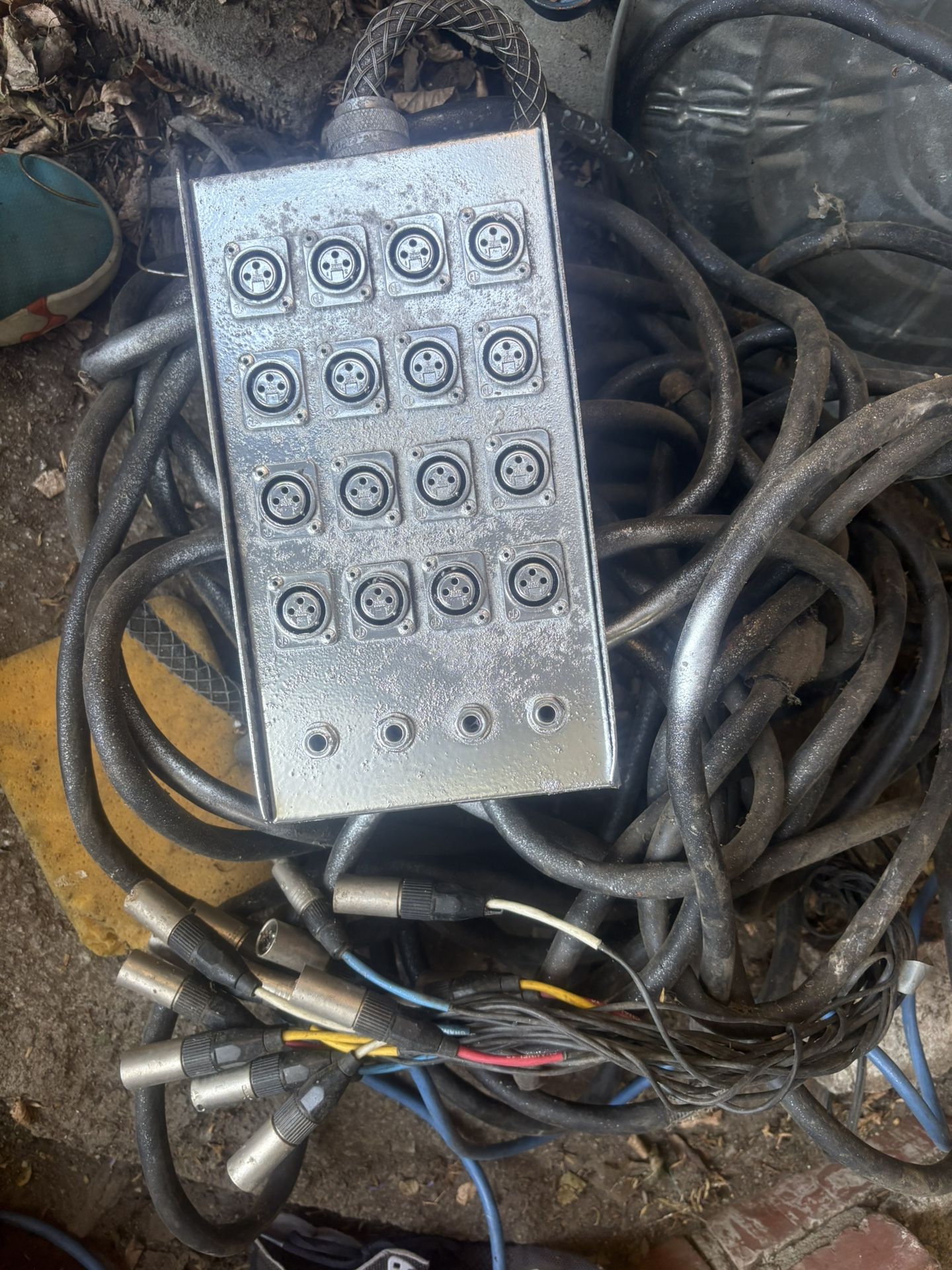 Snake 50 Feet For Audio