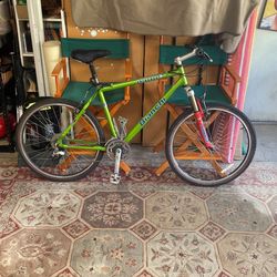 Bianchi SuperBee Mountain Bike