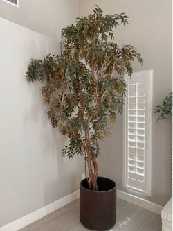 Large Artificial Ficus Tree in Pot