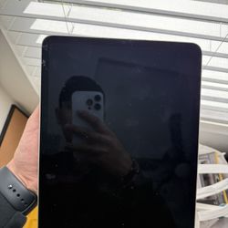 iPad Pro Cellular 4th Gen Unlocked Slightly Cracked 