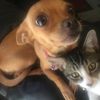 Rick Nd Elia