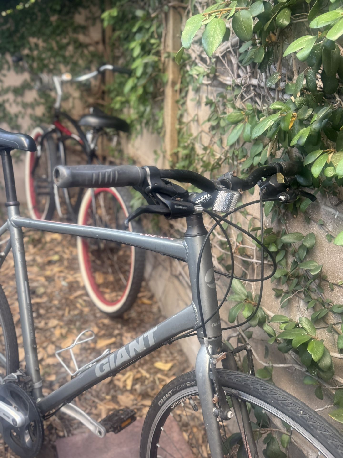 Giant Escape XL bike