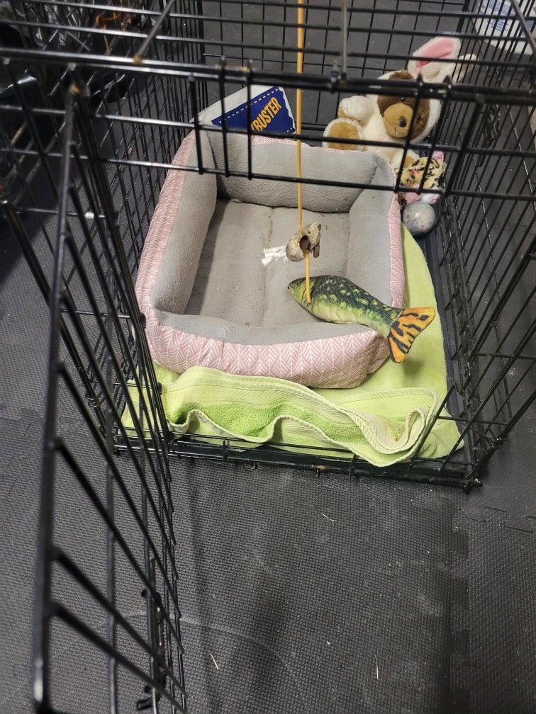 Pet Cage