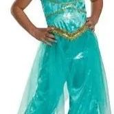 Princess Jasmine Halloween Costume 