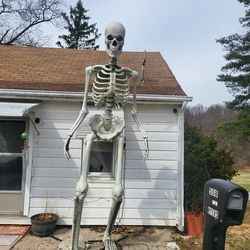 12 foot skeleton