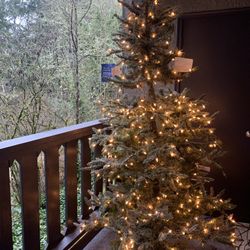 Beautiful Christmas Tree 