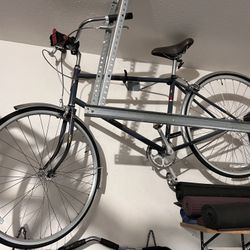 Electra Single Speed Cruiser