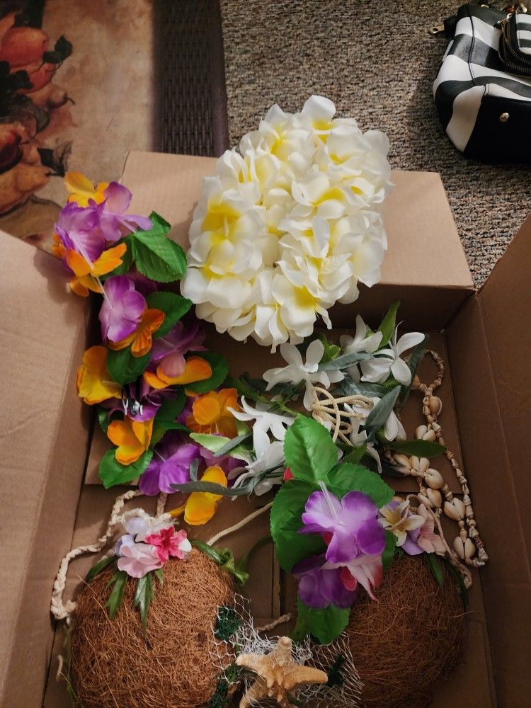 Hawaiian Costume Beautiful And Authentic