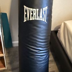 100lb Punching Bag 