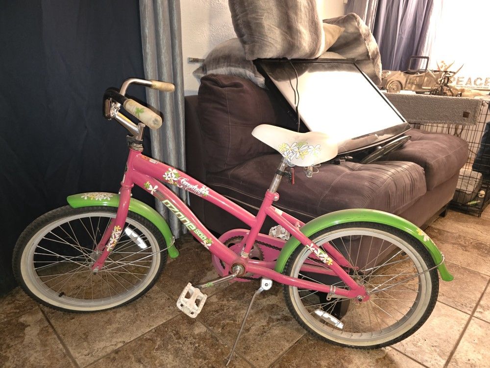 Used Little Girls Bicycle 