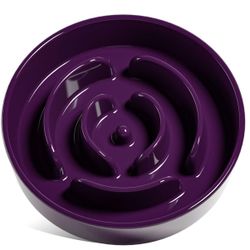 Dog Bowl Slow Feeder Ceramic