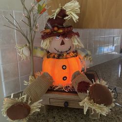 Fiber optic Light Up Pumpkin