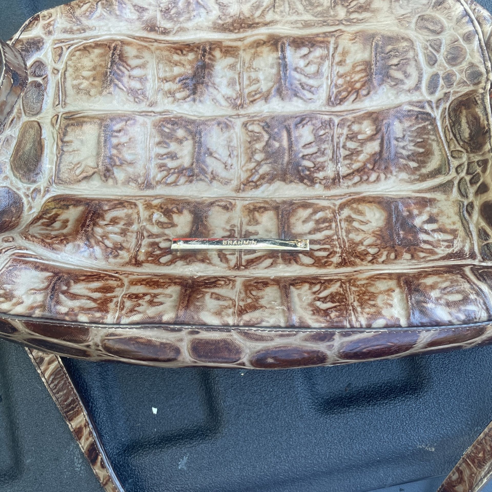 Brahmin purse