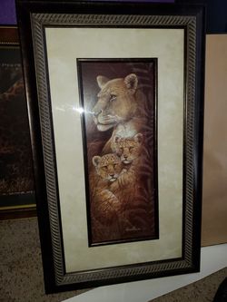 Decorqcion de tigres $35 por todo