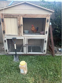 Bird cage