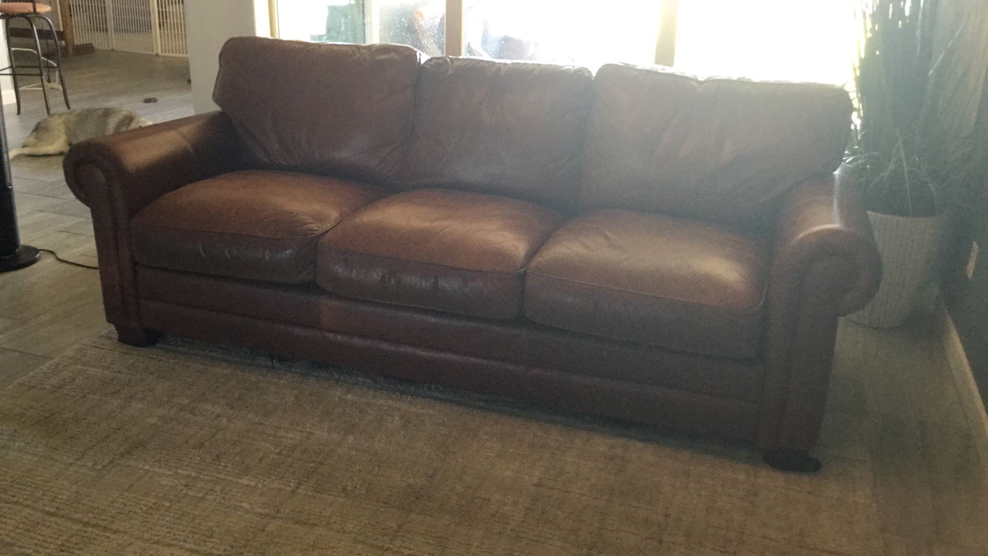 Large Leather Couch