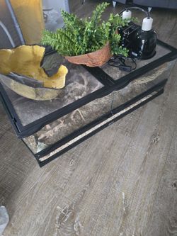 Terrarium