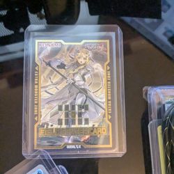 Ecclesia Vip Field Center 