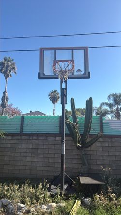 Basket ball court