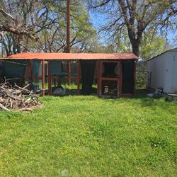Chickens Coop