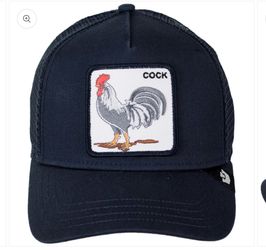 SnapBack hat