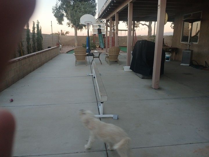 Gymnastics Beam