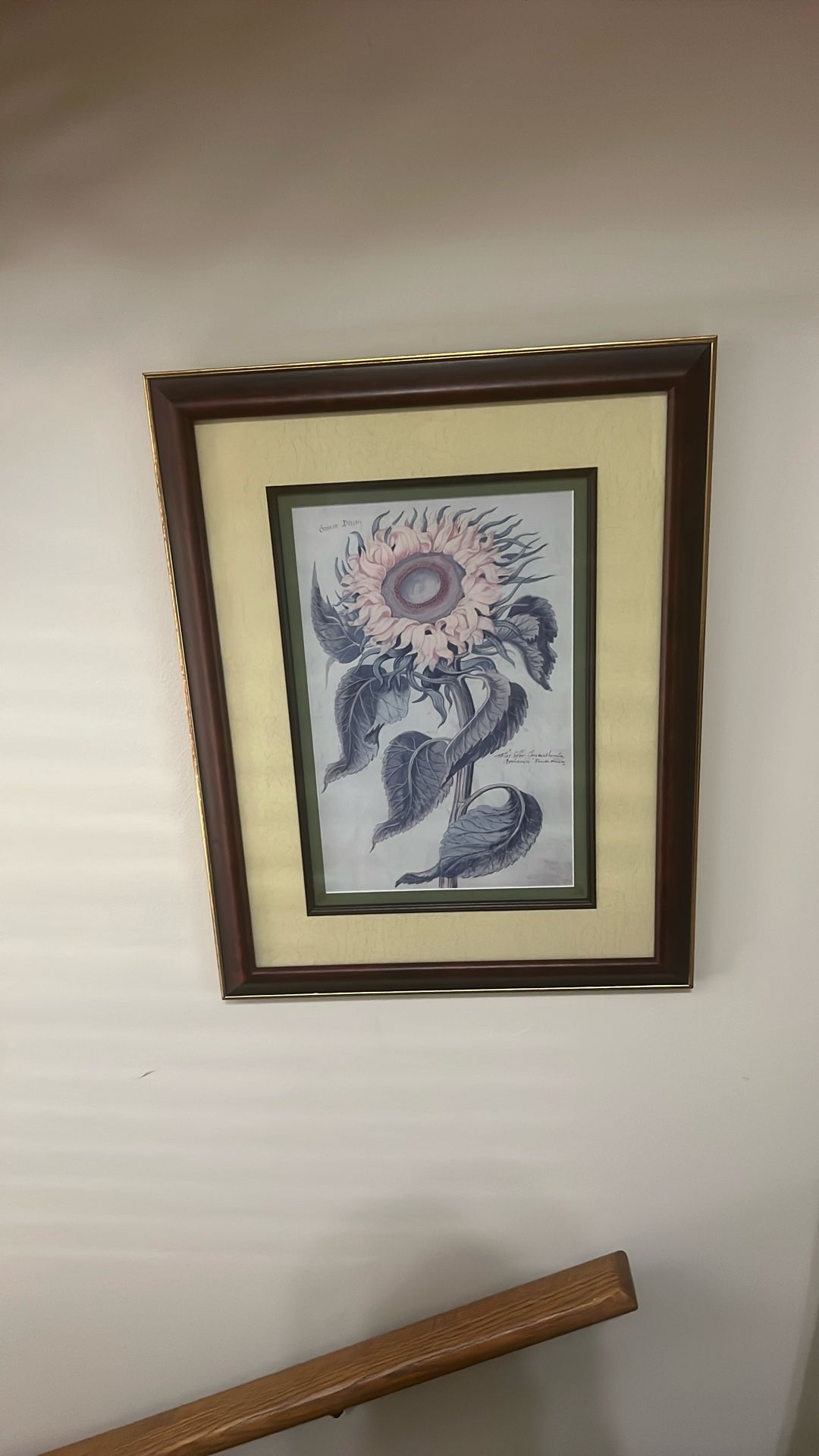 Sunflower Print Matted And Framed