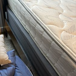 Queen Mattress And Box Spring