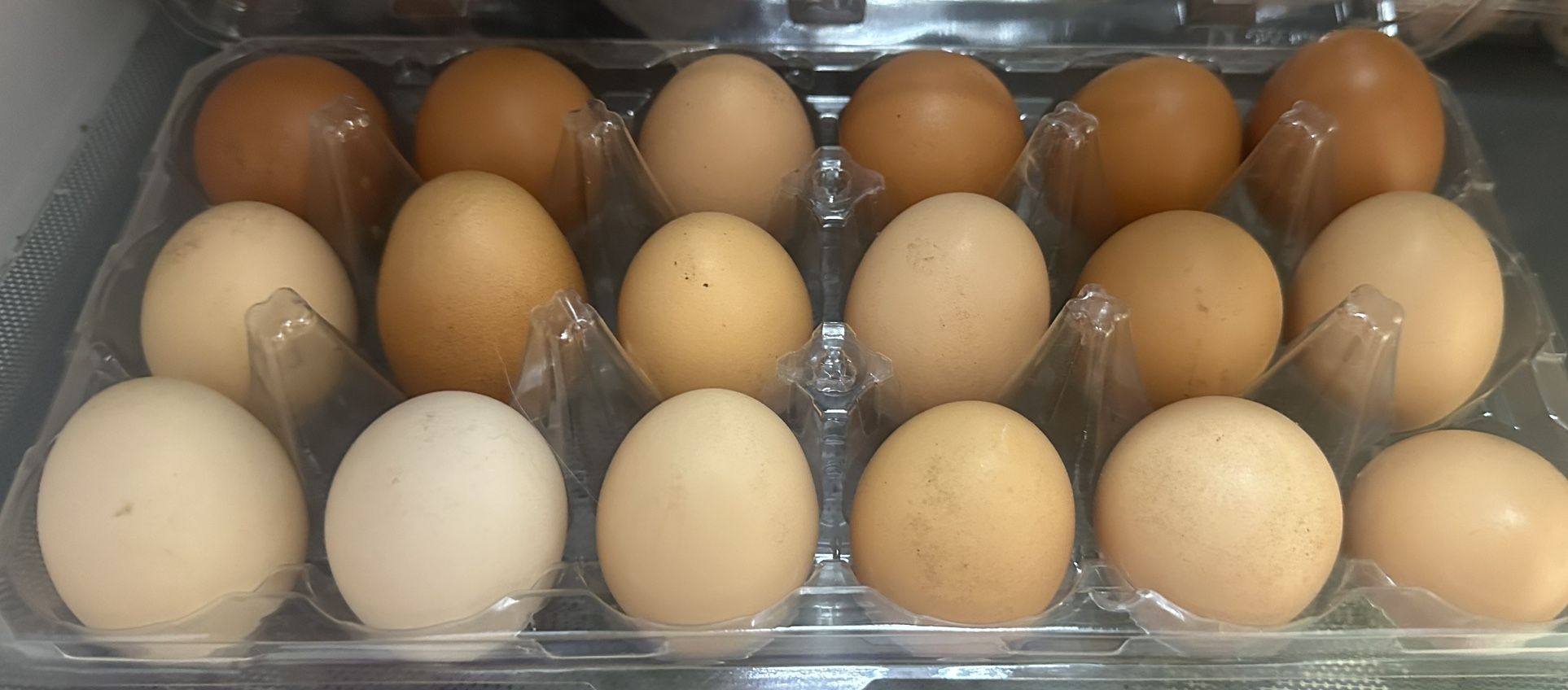 Organic Fresh Eggs 