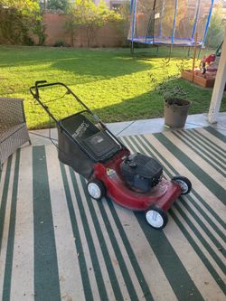 Lawnmower Murray