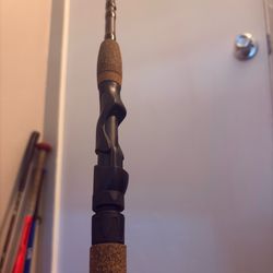 Berkley Lightning Rod