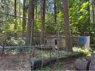 Heavy-Duty Wolf Enclosure / Kennel Panels – 10’ High