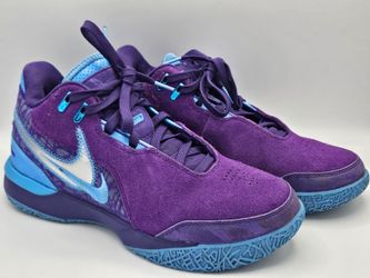Nike Zoom LeBron NXXT Gen AMPD Hornets Purple Shoes 8.5