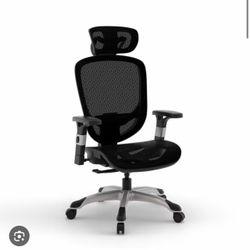 Compute chair