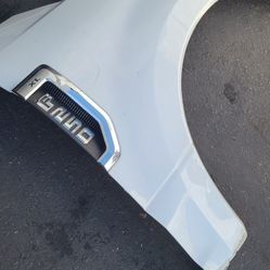 F250 Fender Passenger 2017-21