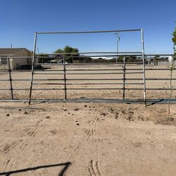 Horse Panels
