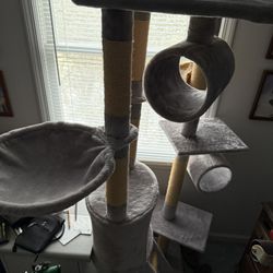 Cat Jungle Gym 