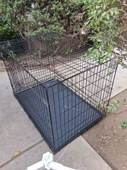 Xl dog kennel