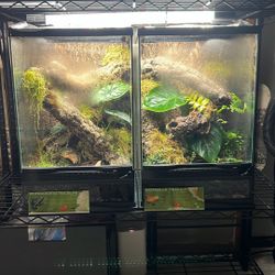 We Make Terrariums For You 