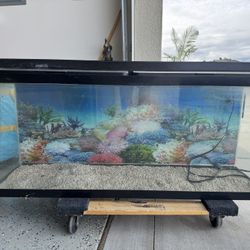 55 Gal Aquarium 