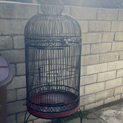 Bird Cage