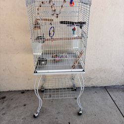 Metal Birds Cage 