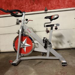 Sunny Exercise Bike