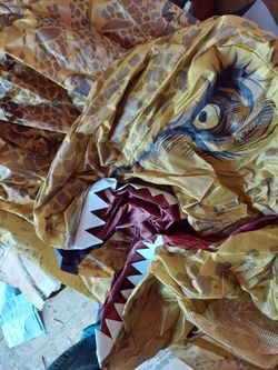 Inflatable T Rex Costume 