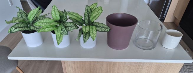 Set of 3 Faux Plants & Decorative Pots