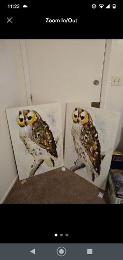 2 Hand Painted Owl Paintings From Ivan Smith (Retail $130 Each)