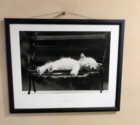 David McEnery 1994 'Cat Nap III' Framed France  Print