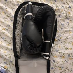 Everlast Boxing Gloves
